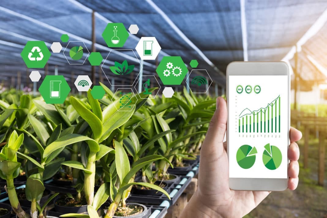 AEO para Agronegócio: por que sua empresa precisa aparecer no ChatGPT?
