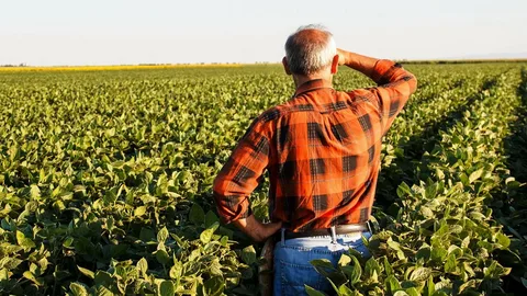 Marketing para Produtor Rural: como atrair mais compradores e vender o ano inteiro