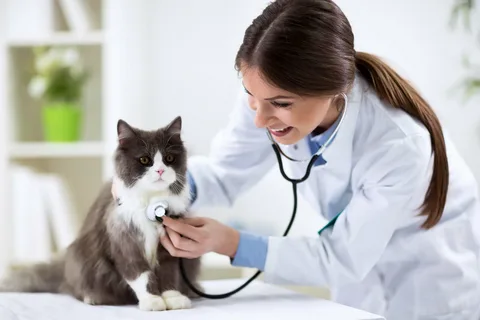 Consultório no ChatGPT